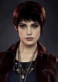 /album/twilight/sq-jpg/